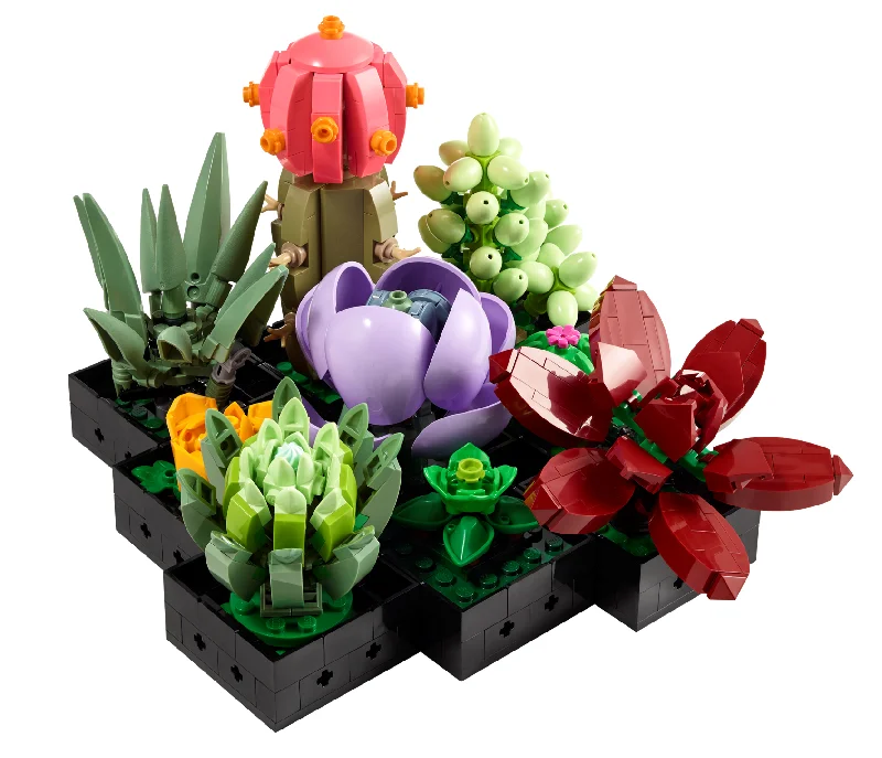 Offering interactive play LEGO10309 LEGO® Succulents