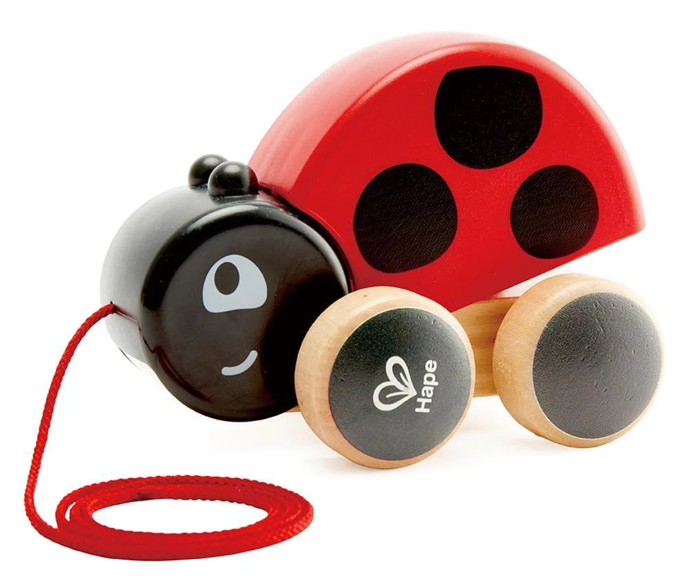 colorful wooden toys for toddlers             Ladybug Pull Along Hape