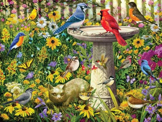 Social games Puzzle Garden Party 550 pc 90603