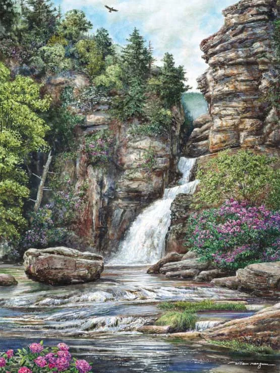 Competitive games Puzzle Linville Falls 550 pc 50542