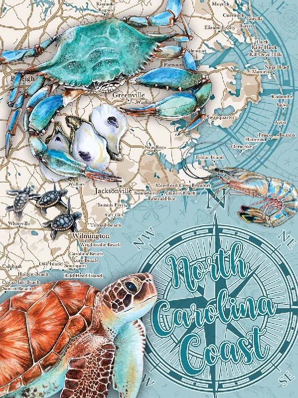 Social games Puzzle North Carolina Coast 550 pc 30609