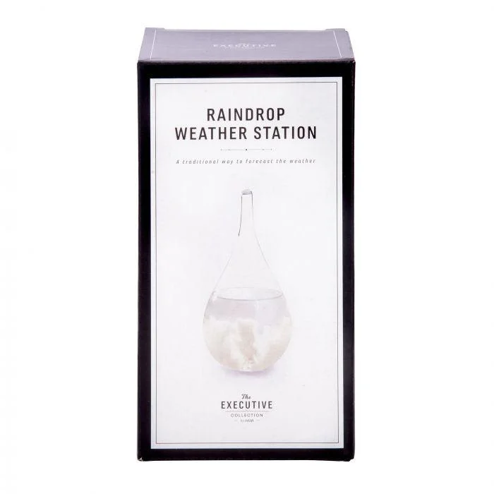 Intricate puzzles Raindrop Weather Station